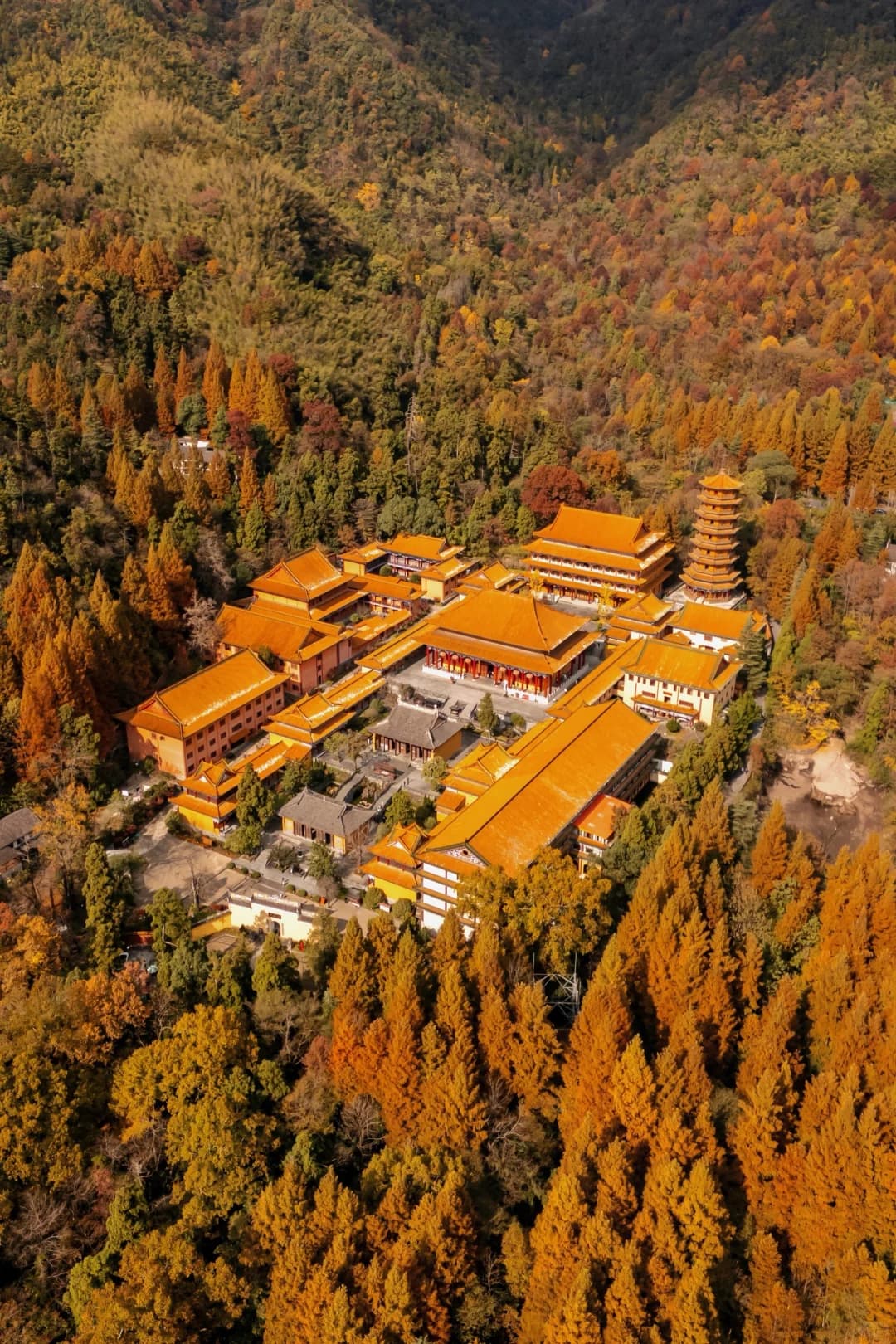 Descubre 7 rincones ocultos de Hangzhou para escapar de la multitud en otoño