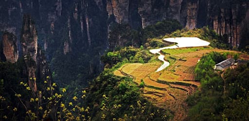Cour de Vieille Maison