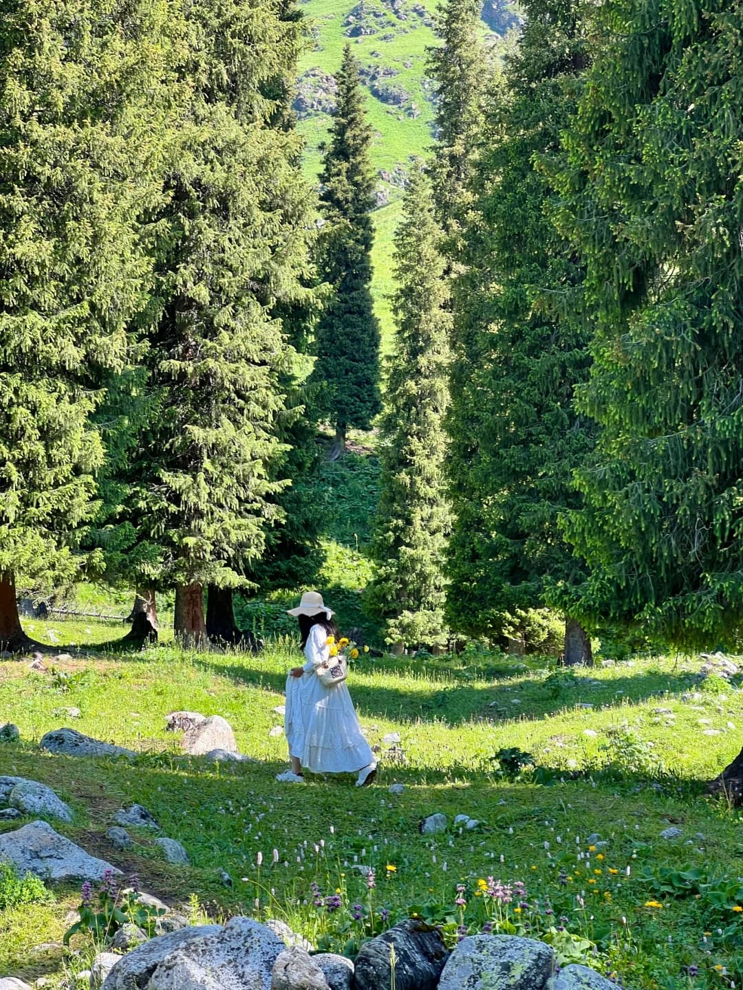 孟克特古道游玩攻略 让你畅游无忧的必看Tips
