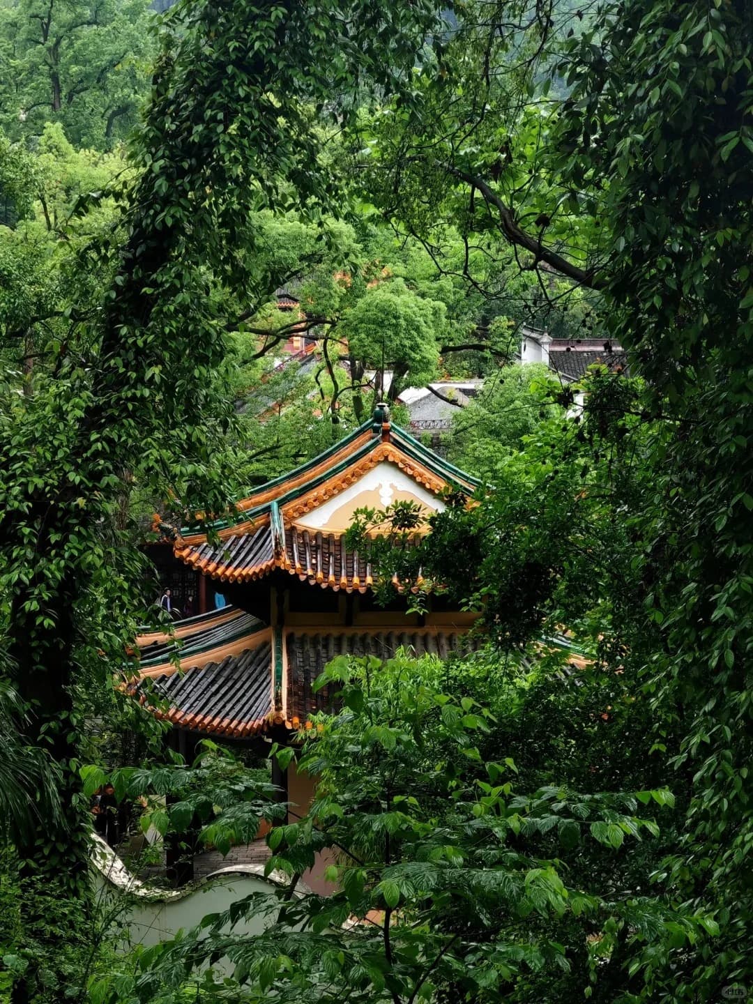 Yuelu-Berg