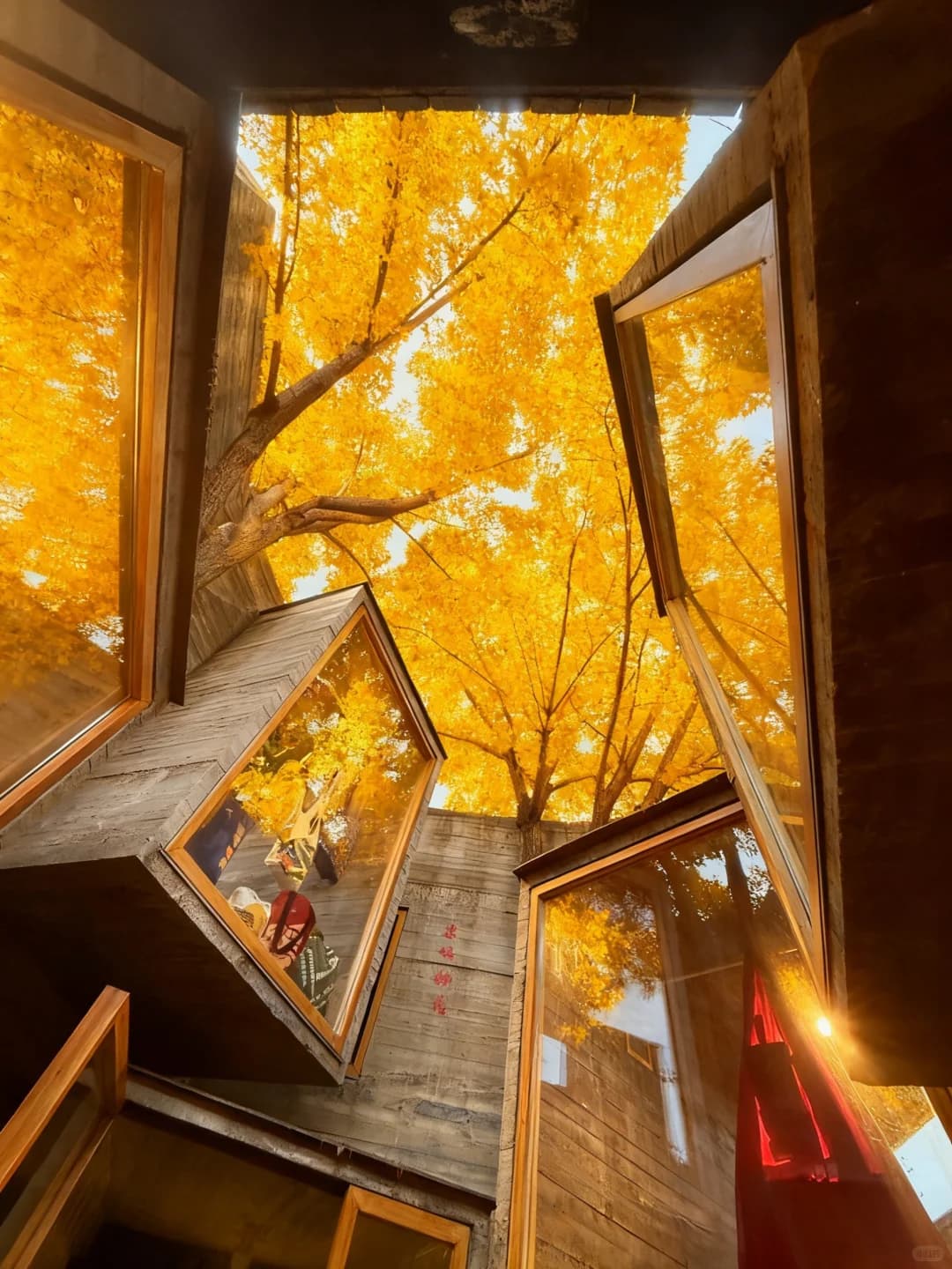 Scoprire i più bei hutong di Pechino con un Citywalk autunnale