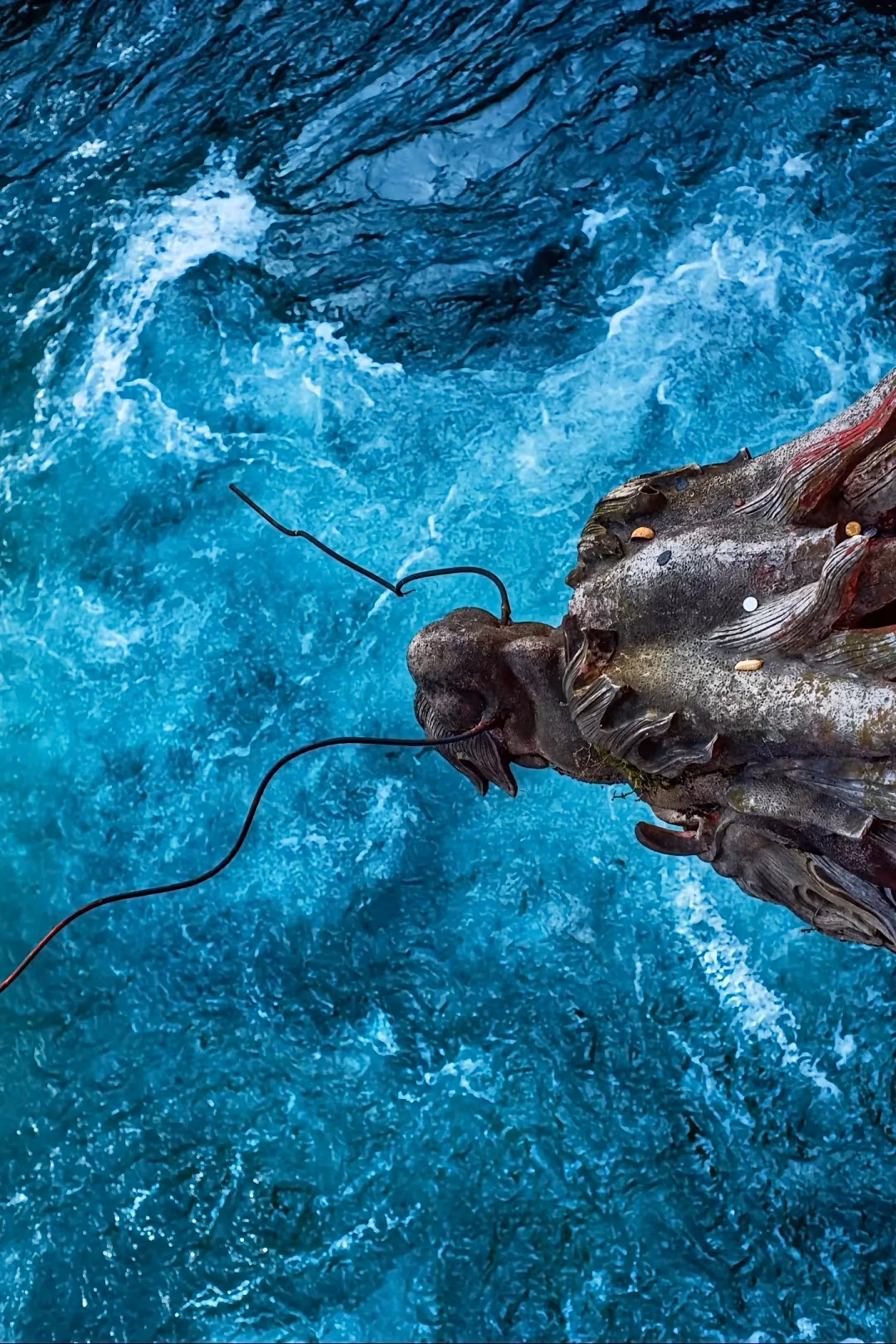 成都の必見旅行スポット:青城山と都江堰の完全ガイド