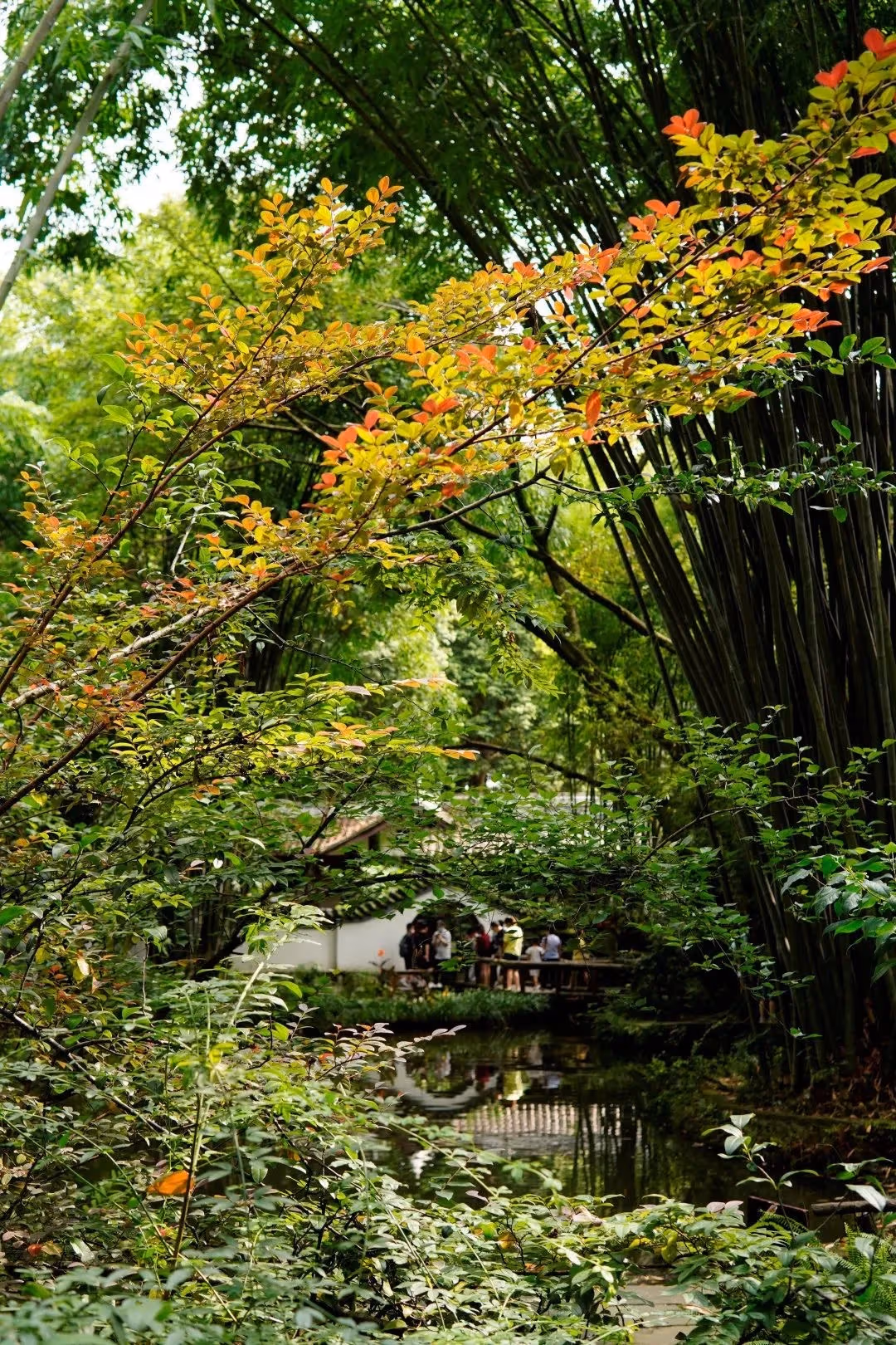 成都杜甫草堂の魅力を引き出す完璧な観光ルート