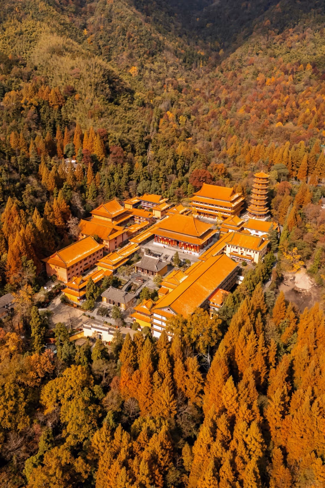 探索杭州7个隐秘秋季景点让你远离人潮