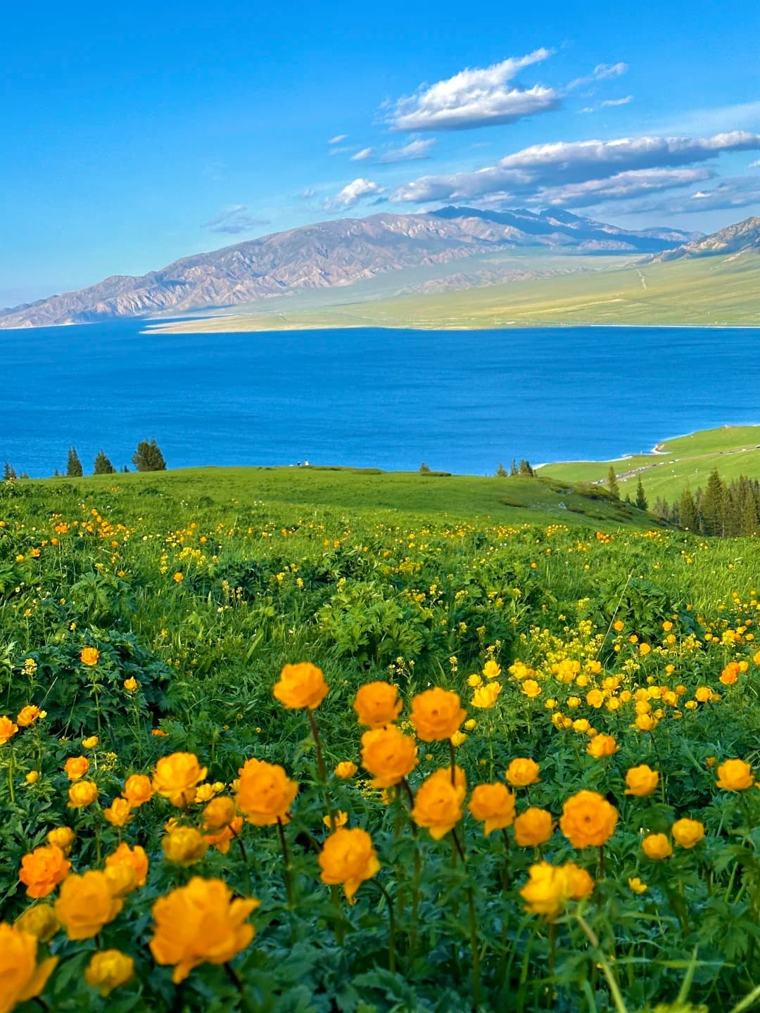 Сайлимское озеро