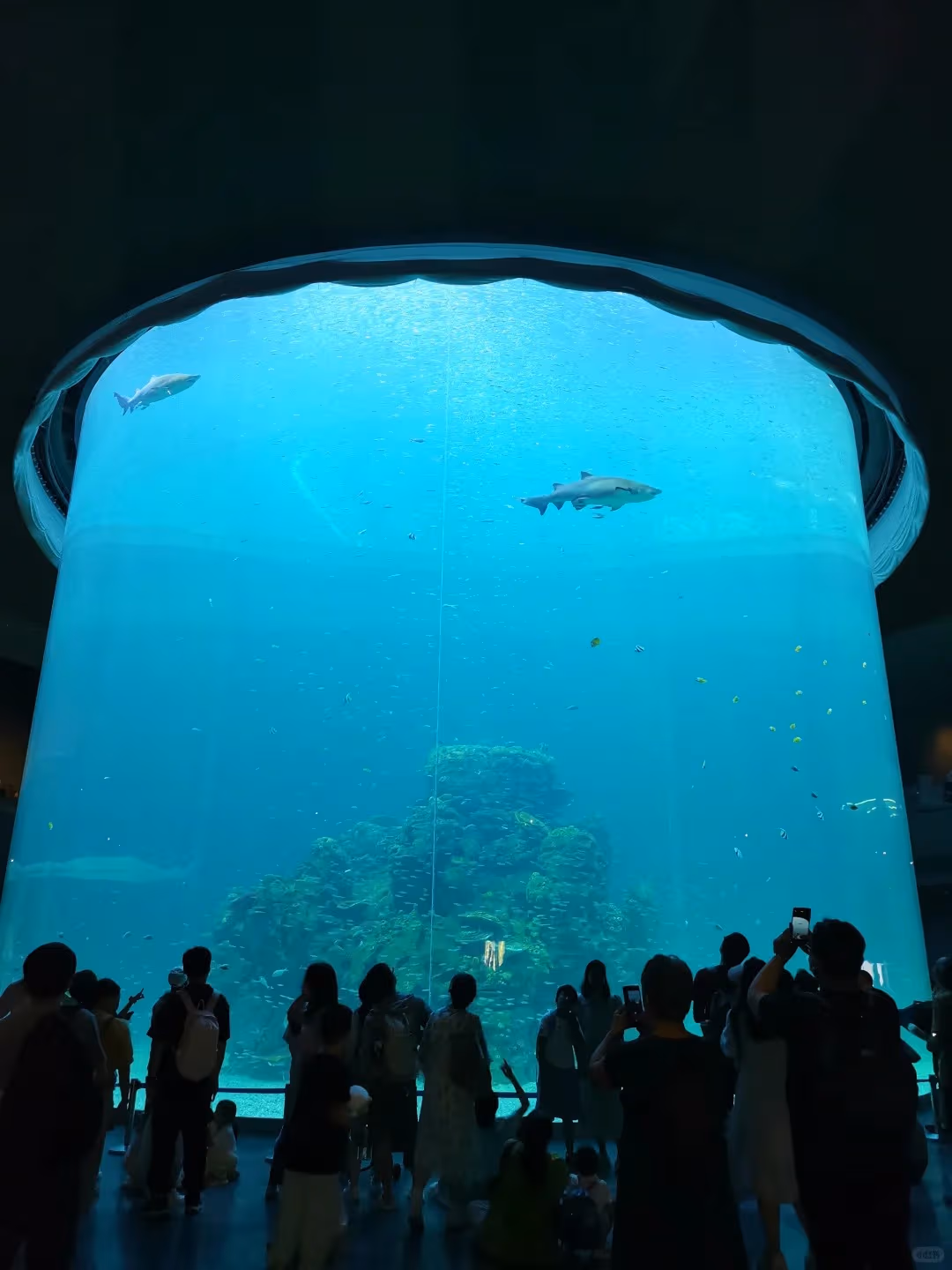 Xiaomeisha Ocean World