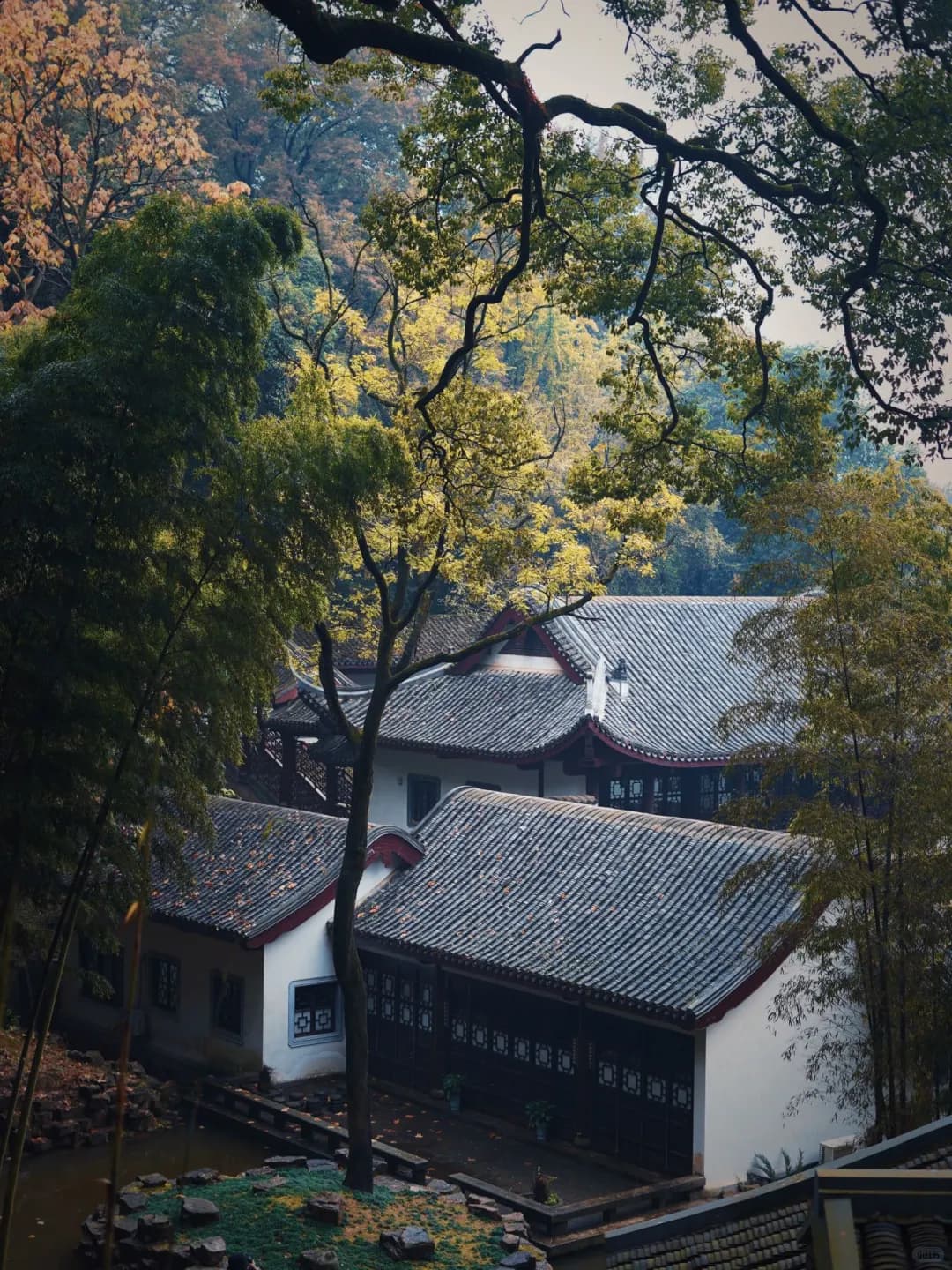 岳麓书院与爱晚亭半日游攻略,感受千年历史与文化