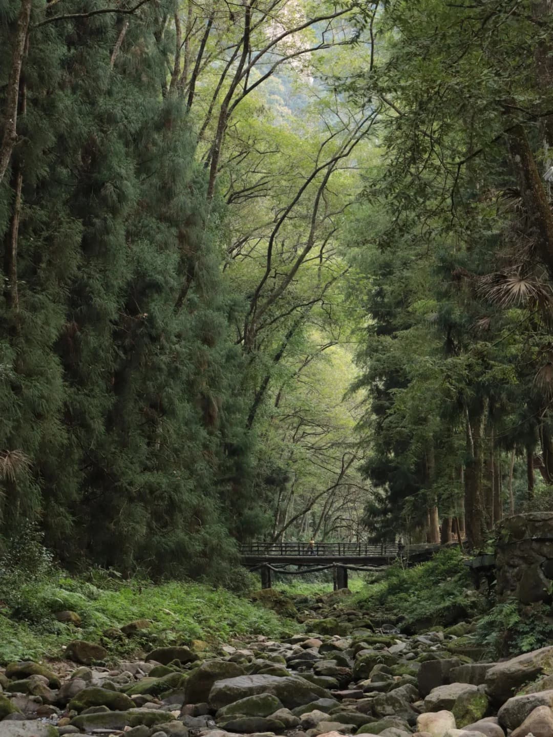 Zhangjiajie Nationalpark