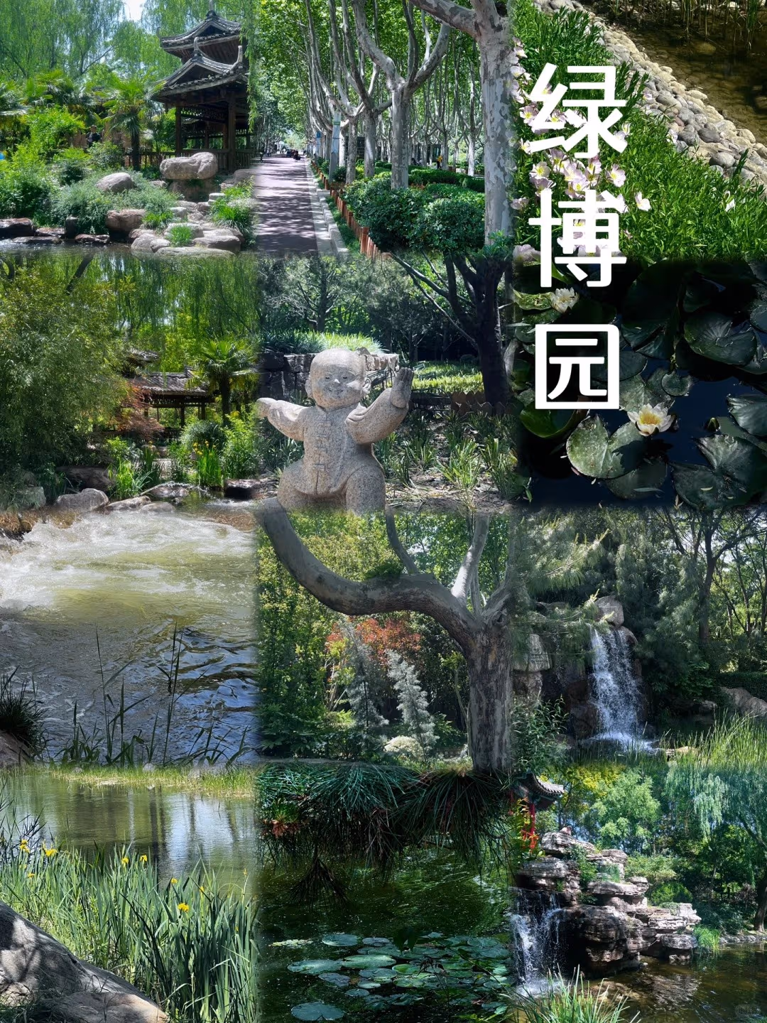 Zhengzhou Green Expo Garden
