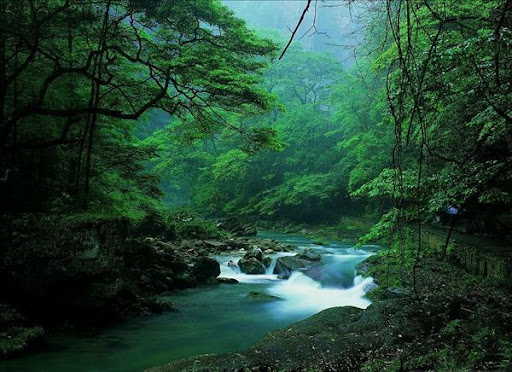 Ruscello della Frusta d'Oro