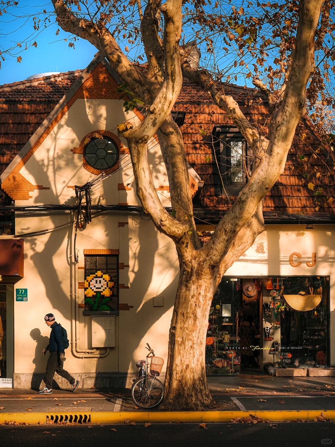 Otoño en el Callejón
