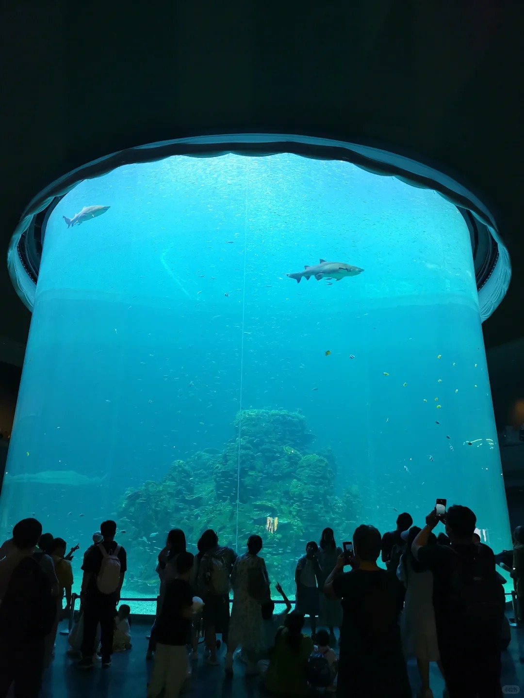 小梅沙海洋世界